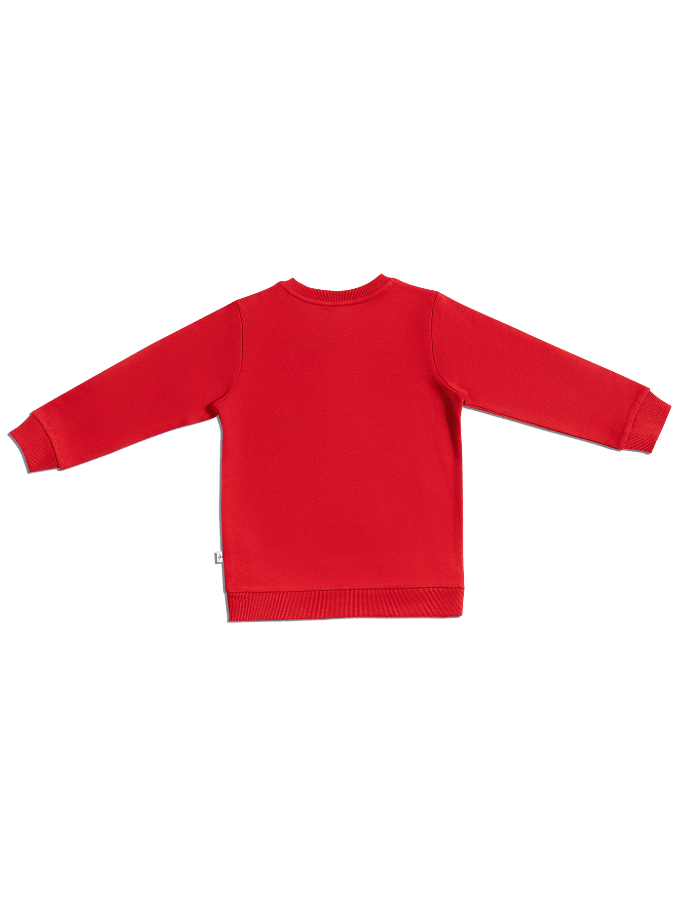 2025ZR | Baby Sweatshirt - Ziegelrot
